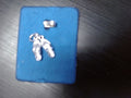 Rembrandt Charm