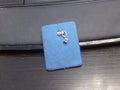 Rembrandt Charm