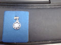Rembrandt Charm