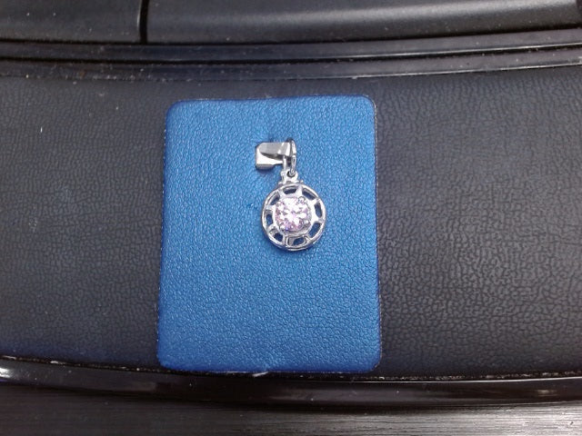 Rembrandt Charm