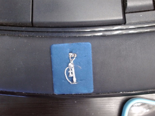 Rembrandt Charm