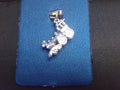 Rembrandt Charm