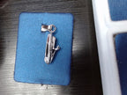 Rembrandt Charm