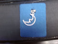 Rembrandt Charm