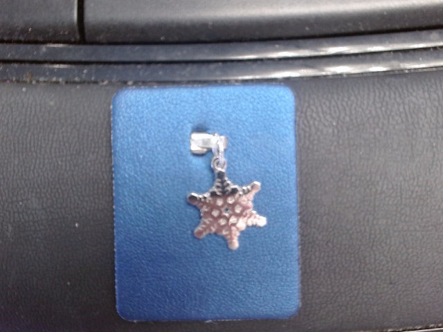 Rembrandt Charm