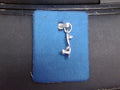 Rembrandt Charm
