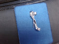 Rembrandt Charm