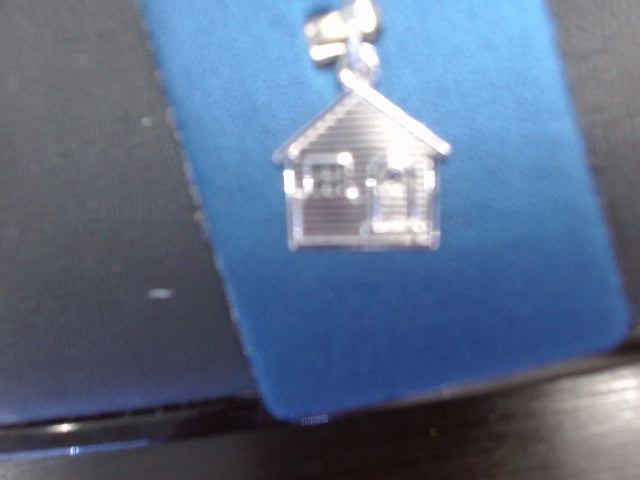Rembrandt Charm