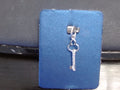 Rembrandt Charm
