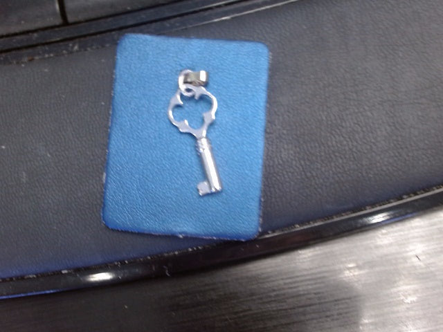 Rembrandt Charm