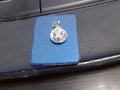 Rembrandt Charm