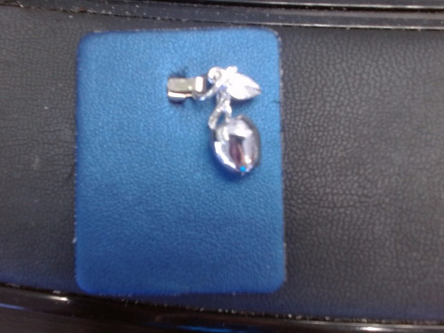 Rembrandt Charm
