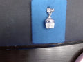 Rembrandt Charm