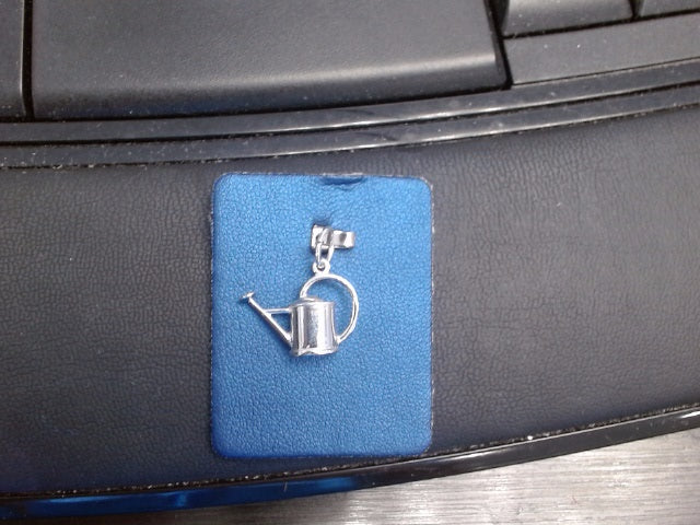 Rembrandt Charm