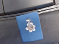 Rembrandt Charm