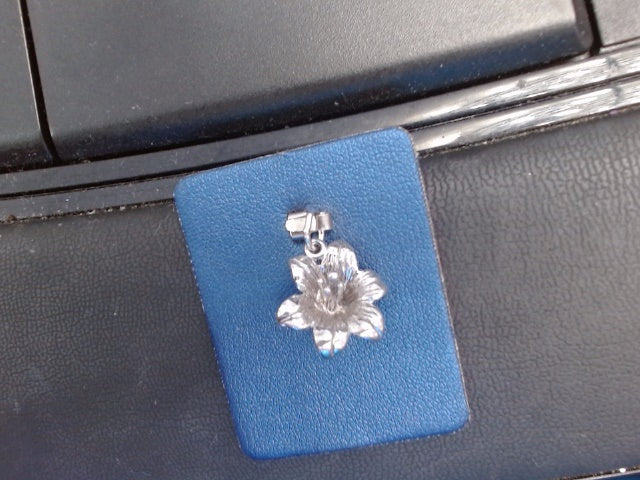 Rembrandt Charm