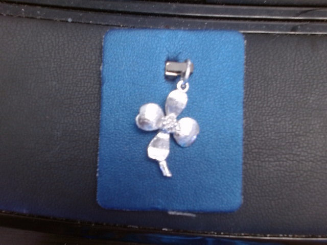 Rembrandt Charm