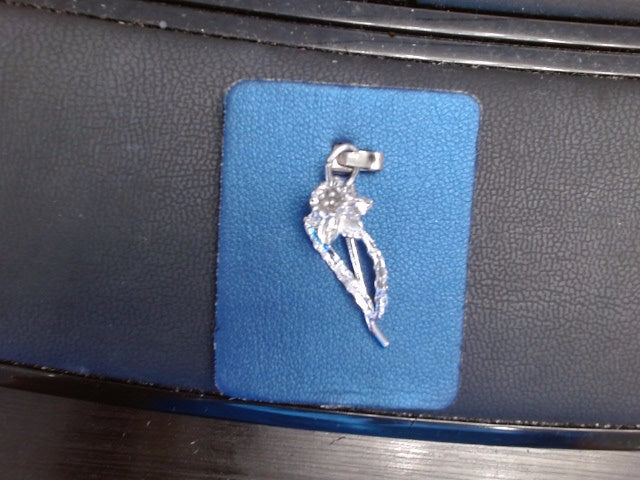 Rembrandt Charm