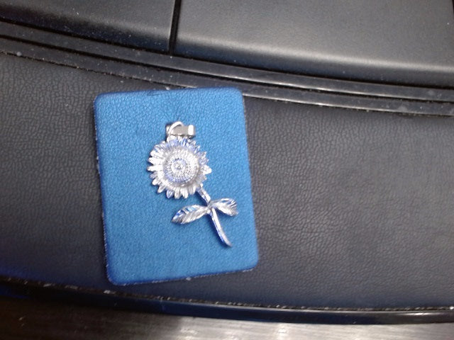 Rembrandt Charm