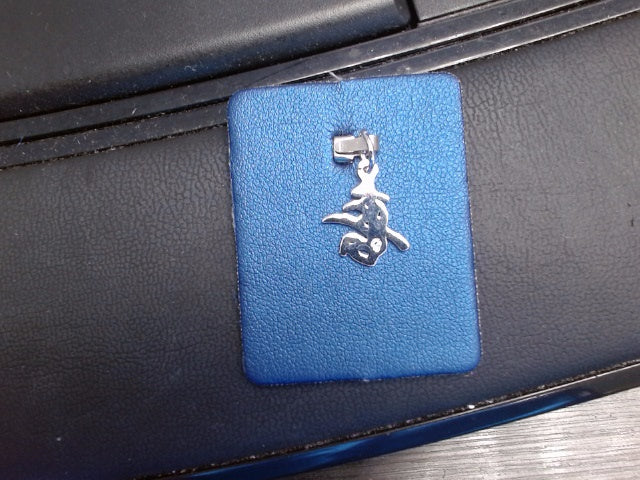 Rembrandt Charm