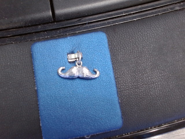 Rembrandt Charm