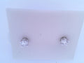 Diamond Stud Earrings .49ct 14k White Gold