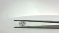 LAB GROWN DIAMOND LOOSE STONES