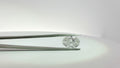 LAB GROWN DIAMOND LOOSE STONES