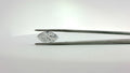 LAB GROWN DIAMOND LOOSE STONES
