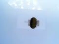 tiger eye set in yellow gold with dimonds