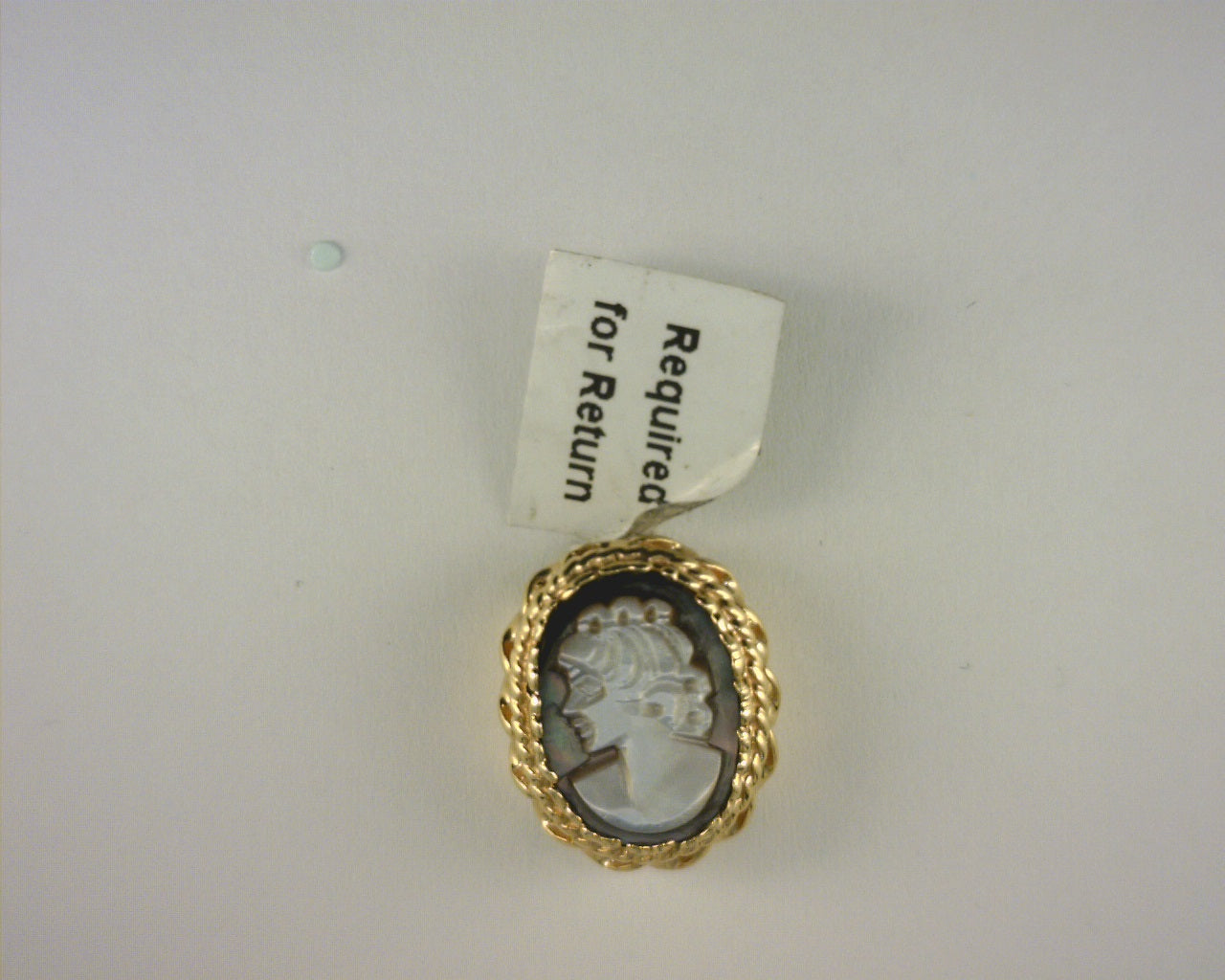 14K Yellow Gold Cameo Slide Charm 6.0g