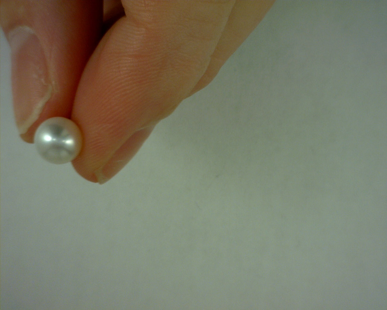Pearl Earring