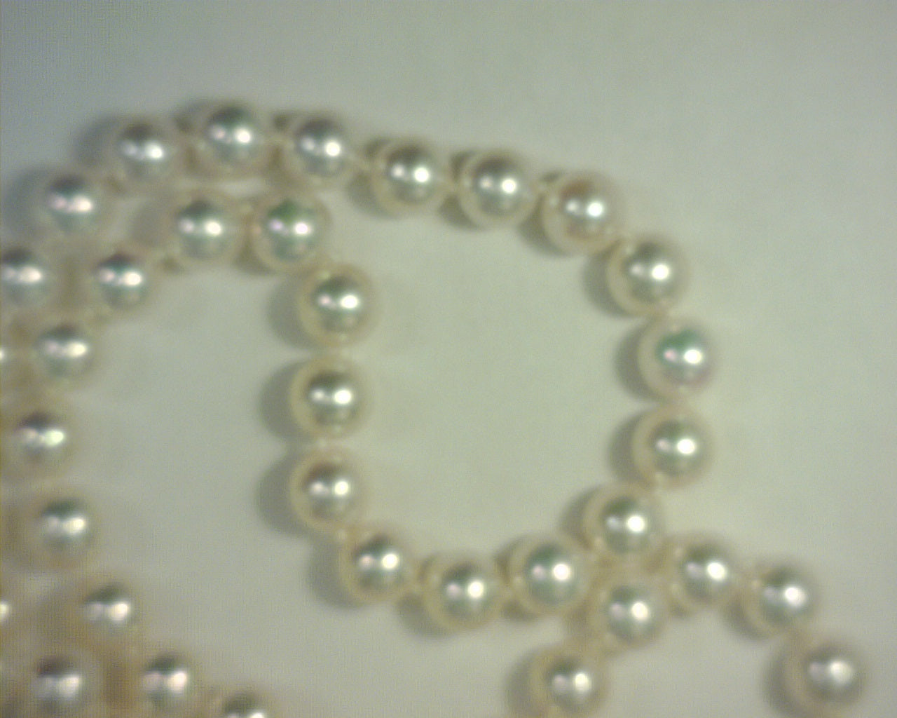 Akoya Pearl Strand 5.5-6mm 14K White Gold 18"