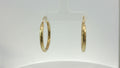 Precious Metal (No stones) Earring