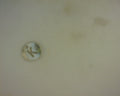 14K LETTER K CHARM