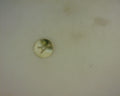 14K INITIAL A CHARM