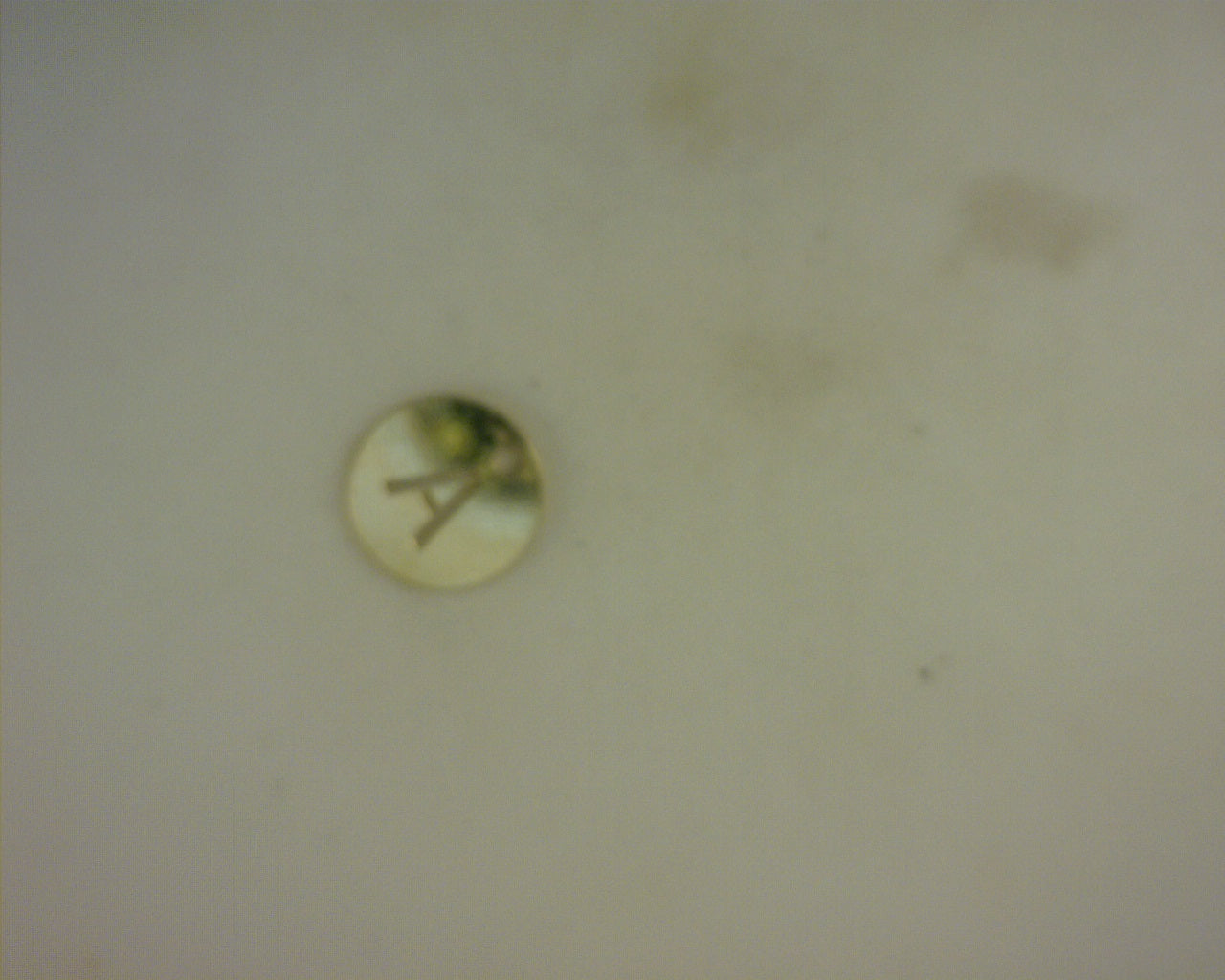 14K INITIAL A CHARM
