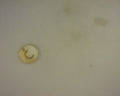 14K LETTER C CHARM