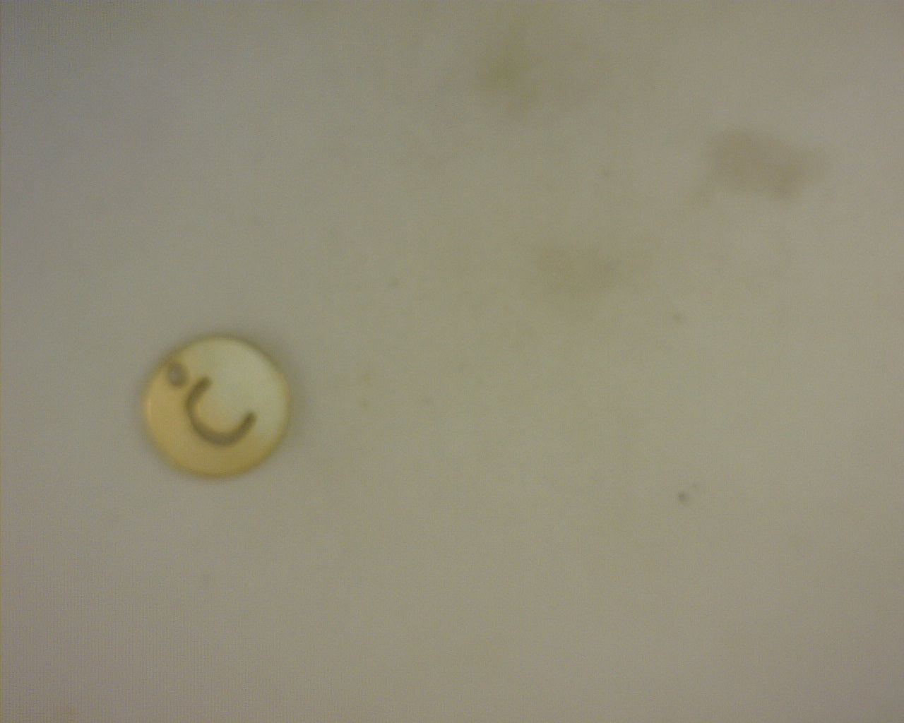 14K LETTER C CHARM