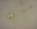 14K LETTER J CHARM