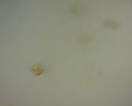 14K LETTER J CHARM