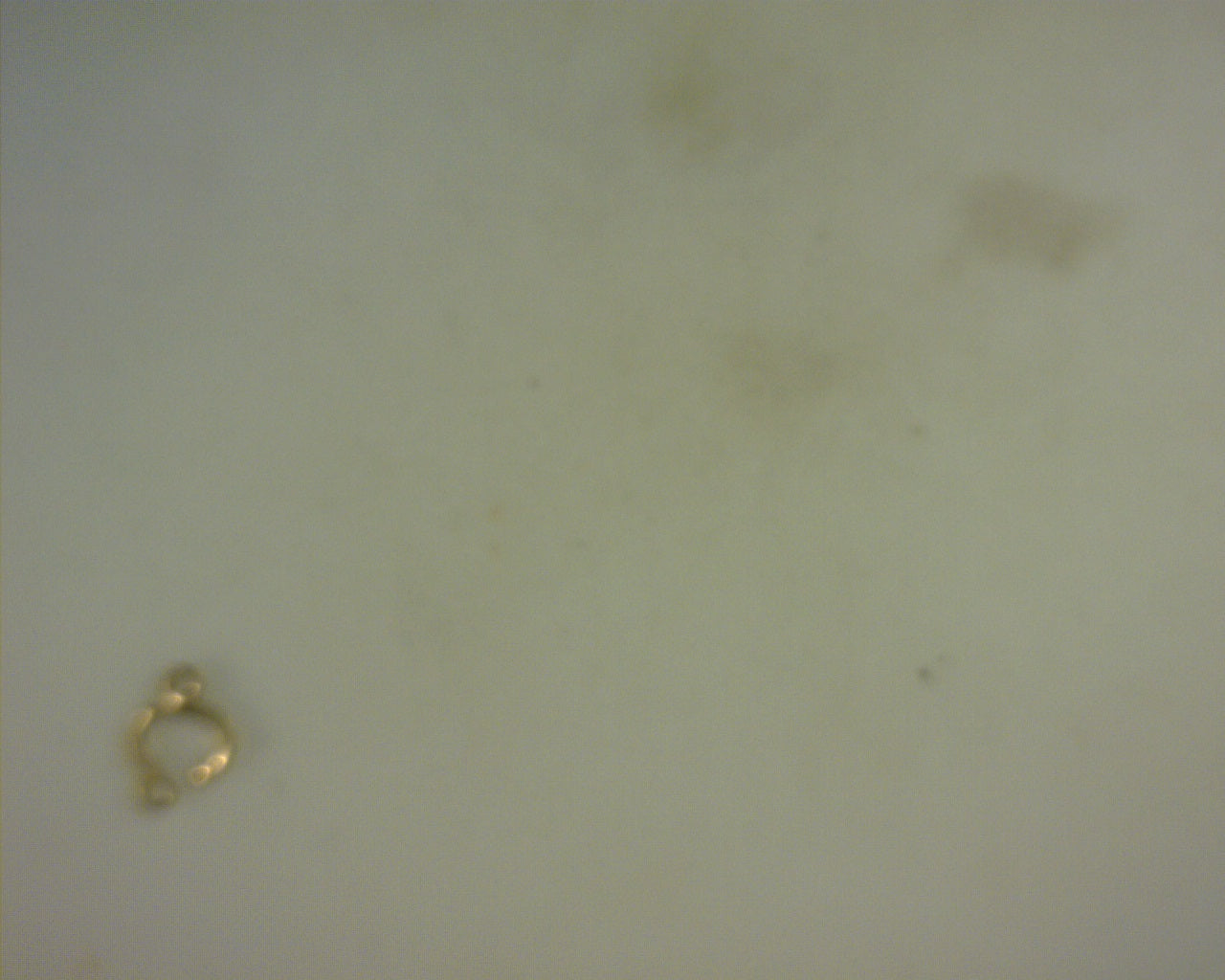 14K LETTER C CHARM