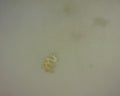 14K INITIAL LETTER K CHARM