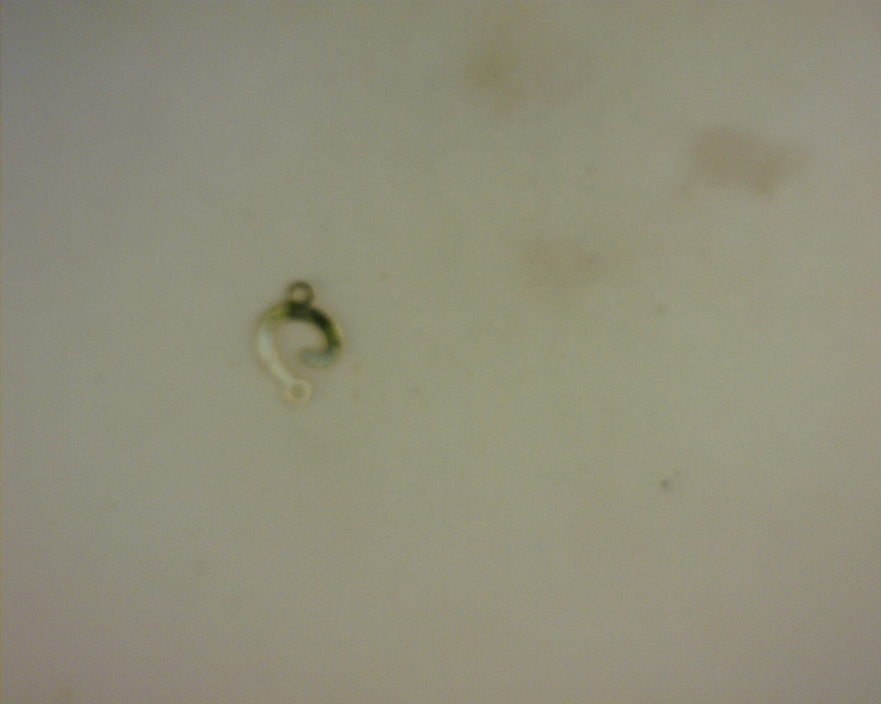 14K LETTER C CHARM