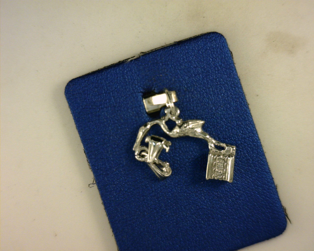 STERLING STORK TWINS CHARM