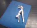 diver