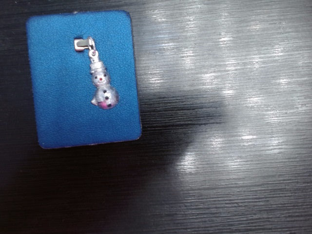 Silver Charms/pendant