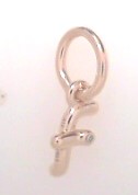 Silver Charms/pendant