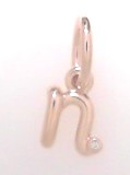 Silver Charms/pendant