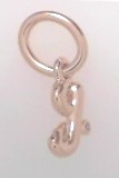 Silver Charms/pendant